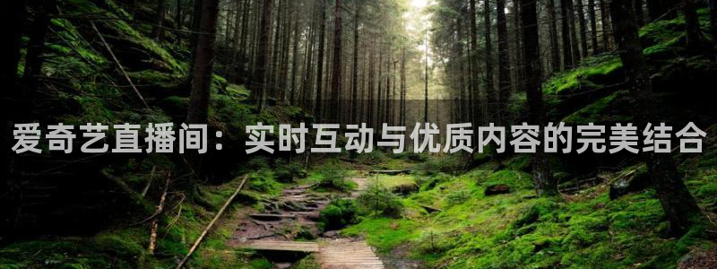 nba在线观看免费观看说球帝：爱奇艺直播间：实时互动与优质内容的完美结合