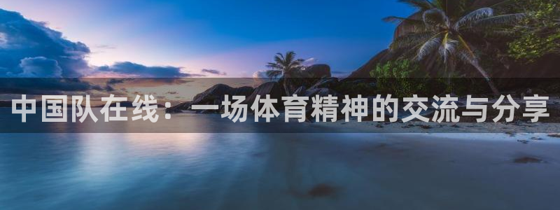 说球帝直播下载：中国队在线：一场体育精神的交流与分享